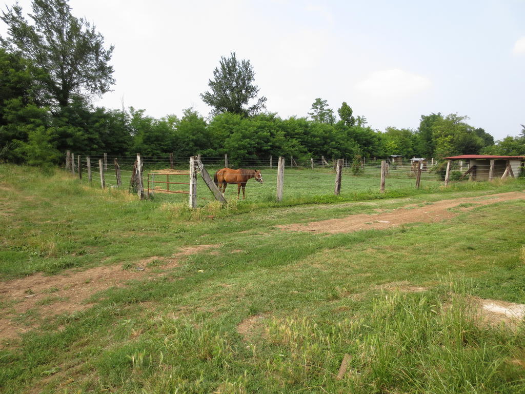 Agriturismo Parco Del Chiese Bedizzole Ngoại thất bức ảnh