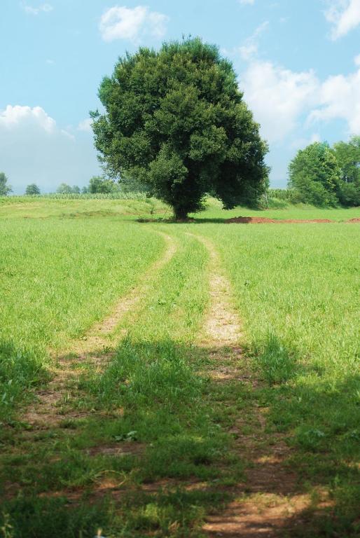 Agriturismo Parco Del Chiese Bedizzole Ngoại thất bức ảnh