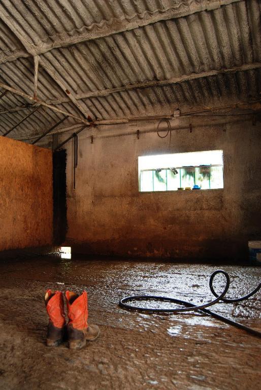 Agriturismo Parco Del Chiese Bedizzole Ngoại thất bức ảnh