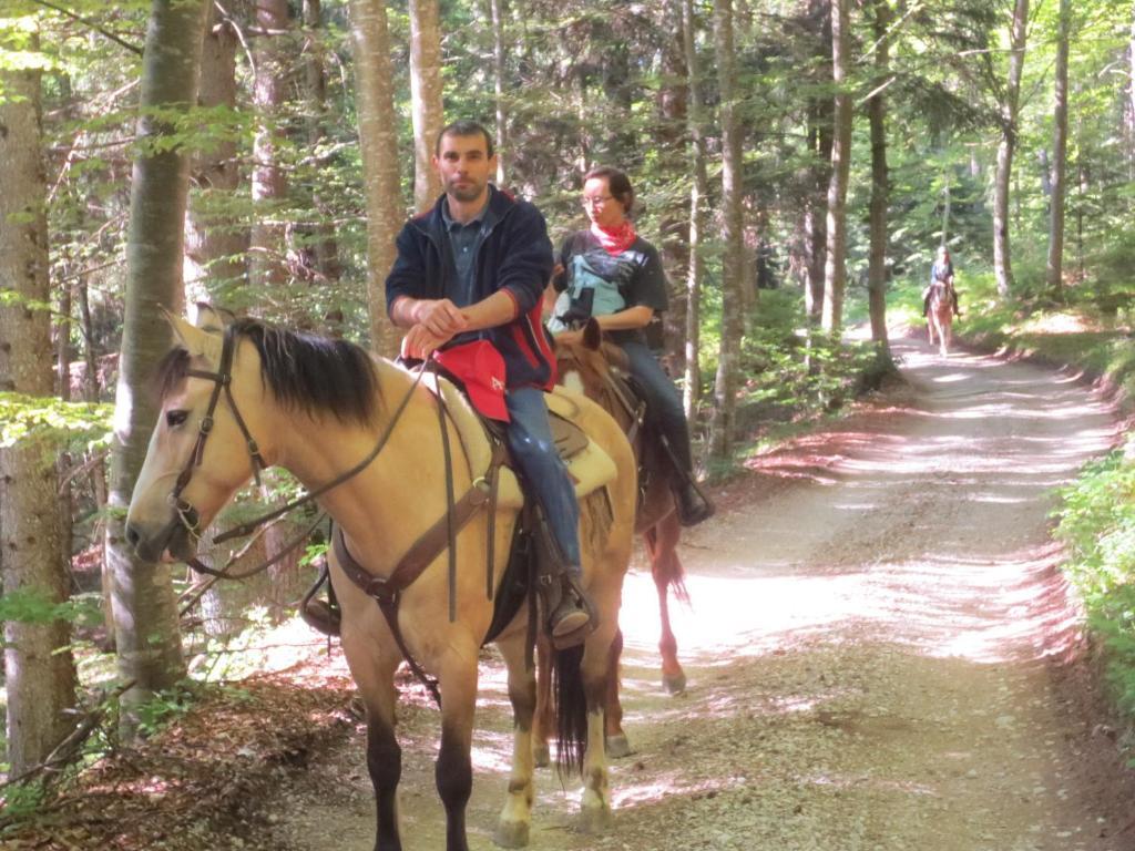 Agriturismo Parco Del Chiese Bedizzole Ngoại thất bức ảnh