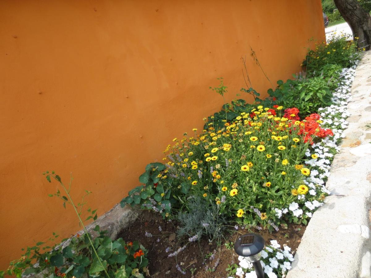 Agriturismo Parco Del Chiese Bedizzole Ngoại thất bức ảnh