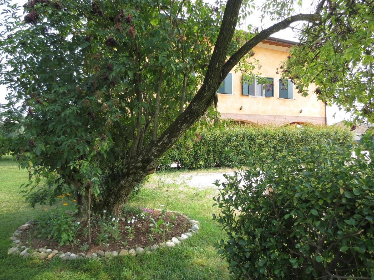 Agriturismo Parco Del Chiese Bedizzole Ngoại thất bức ảnh